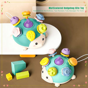 Baby Teether Teething Toys Hedgehog Teether For Newborn Baby Newborn Infant Learning Developmental