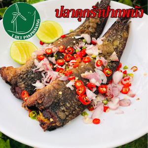 ปลาดุกร้า 1กิโลกรัม คละไซส์ จำนวน 8-12 ตัว ปลาดุกร้าสะอาด ปลาดุกร้าปากพนัง