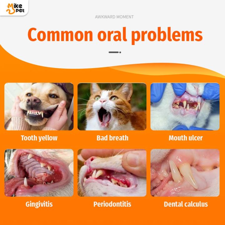 Cassiel%20Pet%20Oral%20Spray%20Dog%20Oral%20Care%20Bad%20Breath%20Teeth%20Cleaning%20Breath%20Freshener%20Plaque%20Remover%2030ml%20-%20Image%202
