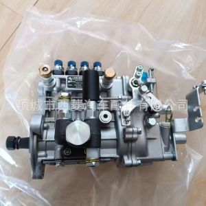 Injection pump BH4Q75R8 4Q384 and 4Q290KM and BH4Q80R8 4Q309 and 4QF93b7-1