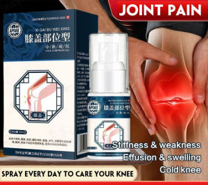 biaozhen 【1/2PCS】Knee pain relief cold compress gel spray Pain Relief Lumbar Joint Cervical Lumbar Gel