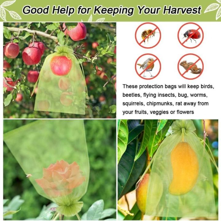 200pcs Fruit Insect Proof Bag / Pest Barrier Covers for Fruit Trees ...