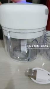 100/ 250ml Electric GARLIC CHOPPER/ Garlic masher/ Wireless MINCER/ MINI FOOD PROCESSOR/ MINI FOOD BLENDER