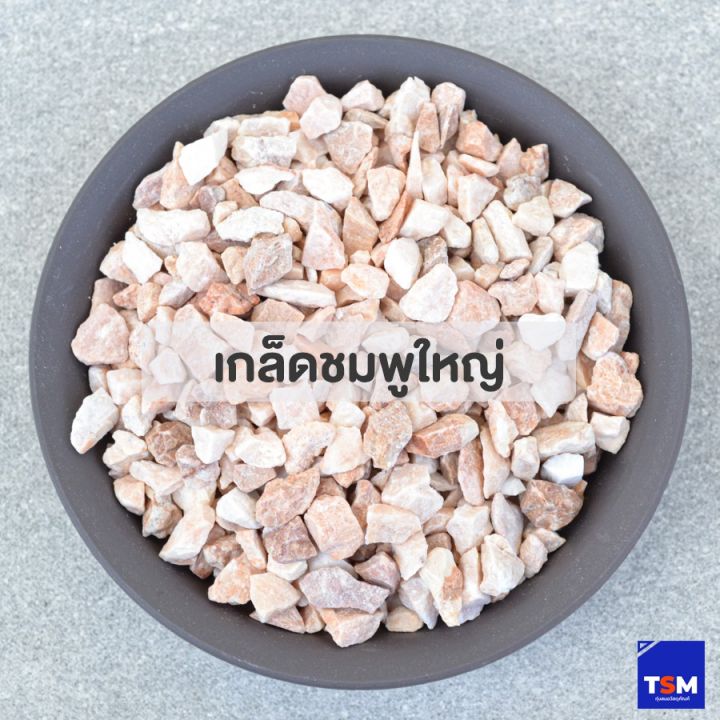 หินเกล็ดชมพู #เบอร์ใหญ่ 250 กรัม สำหรับตกแต่งกระถาง