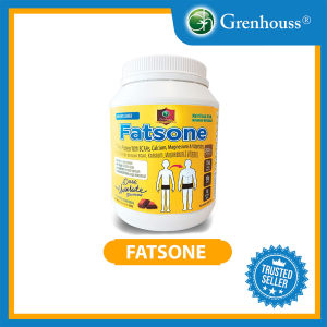 FATSONE - Whey Protein (900grams) - Nutrition Protein Powder - Weight Gainer - Build Muscle