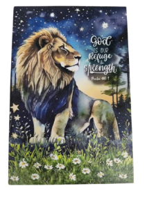 LED Canvas Frame with Bible Verse * 30 *20 cm (Ref: 301024) * Wall Hanging * Christian Gift * Chosen Treasure