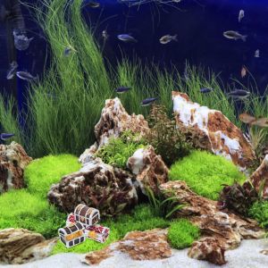 4 chiếc hộp kho báu thu nhỏ trang trí bể cá phong cách cướp biển Địa Trung Hải hộp vàng trang trí bể cá cho cảnh quan thủy sinh tự làm.