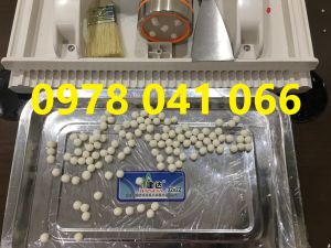 Khuôn vo viên trà sữa vo viên đông y hoàn tán vo viên hà thủ ô