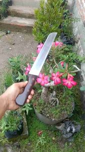 Pisau sembelih bohler N695 30cm