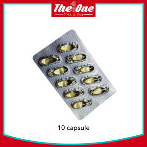 Bucatstate Fish Oil Hamster Fish Oil Small Animal Supplement Hamster Supplement Jomtheone