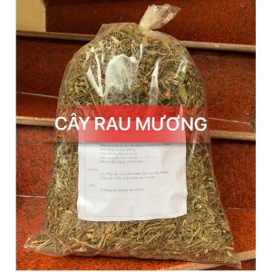 1KG Cây rau mương