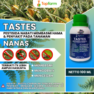 Obat Pematang Buah Nanas / Obat Semprot Daun Nanas / Obat Pembesar Buah Nanas / Obat Untuk Tanaman Nanas / Obat Buah Nanas / Obat Hama Tanaman Nanas