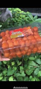 [ CHẤT LƯỢNG ] HỘP BÁNH PÒ XIÊN VỪNG BÁNH PÒ QUẨY BÁNH PÒ MIẾNG VỪNG ĐỒ ĂN VẶT TUỔI THƠ CÁC LOẠI