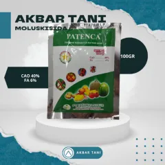 Flash pleersiz porno saytlar