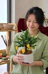 Cây ăn trái chậu kiểng mini 22cm bằng đất sét Nhật Bản cao cấp tinh xảo 99% mang ý nghĩa phong thủy may mắn và sang trọng cho nhà cửa