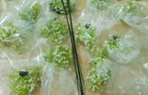 set nguyên liệu làm vòng hoa đội đầu chụp ảnh dã ngoại kỷ yếu văn nghệ