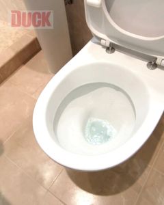Duck Limescale Remover Toilet Cleaner 750mL