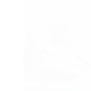 Ainna Ortuseight Catalyst Liberte Grade Ori Futsal Shoes