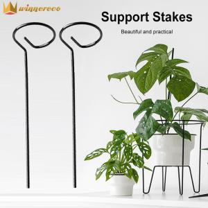 [Winnereco] โรงงาน10ชิ้นรองรับที่ยึดต้นไม้เดิมพันสำหรับดอกโบตั๋นไฮเดรนเยีย