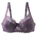 Ready Stock-New Style Sexy Bras 34/75 36/80 38/85 40/90 42/95 44