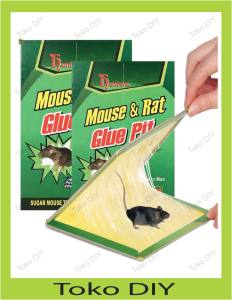 Super Glue Mouse Trap