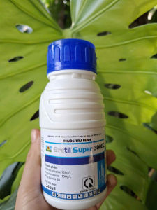 [THIEN THINH SHOP] BRETIL SUPER 300EC chai 240ml trừ bệnh lem lép hạt lúa đốm lá rỉ sắt thán thư nấm hồng