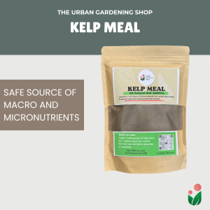Kelp Meal - All Natural Garden Soil Additive Derived from Kelp Seaweeds for Home Gardening Use