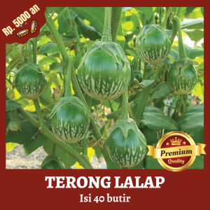Benih Bibit Biji Sayuran Terong Lalap Bulat Hijau 40 Butir skala hobby