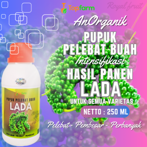 Pupuk Pelebat Buah Lada / Pupuk Untuk Buah Lebat / Pupuk Cair Untuk Tanaman Lada / Pupuk Booster Lada / Pupuk Khusus Lada / Pupuk Tanaman Lada Merica