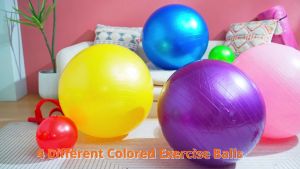 【SG】VIVA Anti-Burst Yoga Ball 55/65/75cm Birthing Ball Pregnancy Exercise Ball Stability Balance Ball with Free Air Pump