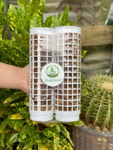 Trụ nhựa giá thể xơ dừa trồng kiểng lá cây leo D20xR5cm - Đen/Trắng | Độc quyền Family Garden