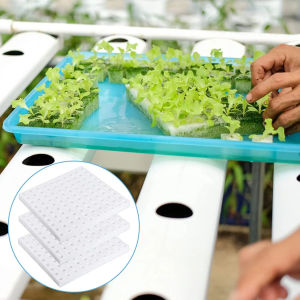100 Holes Hydroponic Plant Sponge Square Soilless Cultivation Plant Seedling Greenhouse Sponge Planting Tools Vegetables Nursery Pots Trays