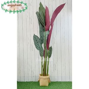 Pohon Daun Calathea Ungu T150 Latex Artificial Pot Dasar Hitam Cover Purun Handle Hiasan Rumah
