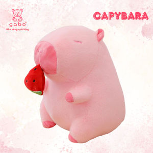 gấᴜ Bông Capybara Hồng rút Dưa Hấu chuột lang ăn dưa có dây rút Hàng Mới Về