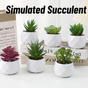 Simulation Evergreen Artificial Succulent Cactus Plastic Succulents Bonsai Fake Plants Home Decor