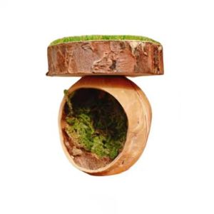 OUTOPEN Handmade Spider Hide Cave Mini ic Jumping Spider Shelter Climbing Decor Decorative ic Spider Habitat for Small Pets