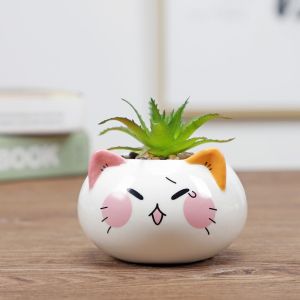 SIQIN สร้างสรรค์ สไตล์สัตว์ ทำด้วยมือ ตกแต่งโต๊ะ เครื่องประดับ เซรามิค กระถางอวบน้ำ กระถางดอกไม้ อุปกรณ์บอนไซ อุปกรณ์สวน