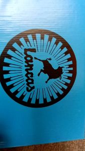 Sepatu kasual pria kulit