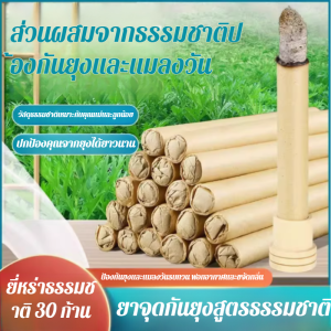 แท่งธูปไล่ยุง แท่งธูปหอม / แท่งธูปหอมกลางแจ้ง แท่งธูปหอมสำหรับหญิงตั้งครรภ์ เด็ก ในบ้าน ธูปหอมธรรมชาติ 驱蚊艾草蚊香棒