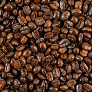 Tatay Tinos Civet Alamid Luwak Coffee Beans (Mt. Manabu)