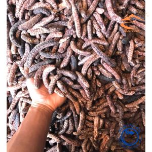 Chuối hột rừng chín khô nguyên quả chuối hột rừng Tây Nguyên chuối hạt rừng sấy ngâm rượu thơm loại 1 (chuối đẹp chín thơm ngon đúng tầm)