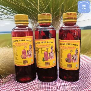 5 pcs minyak urut pijat badan ida dayak minyak urut pijat yang hangat dayak 150ml massage oil