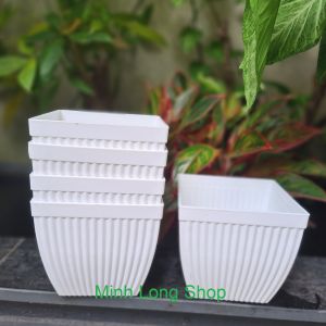Bộ 05 Chậu Vuông Sọc 14x13cm Nhỏ Xinh Màu Trắng Nhựa Dày