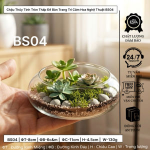 Chậu Thủy Tinh Tròn BS04 Cắm Hoa Trang Trí Để Bàn Nghệ Thuật