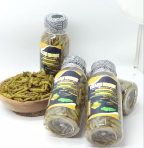 Kemasan botol YELLOW maggot