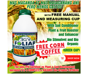 3Gs Super Foliar (Japan Technology) - Soil & Plant Adjuvant Bio-Stimulant Liquid Bio-Fertilizer