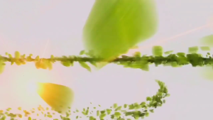 Năm số dây chuyền kỷ niệm món quà sinh nhật tình bạn cho phụ nữ năm Vòng cổ cho phụ nữ