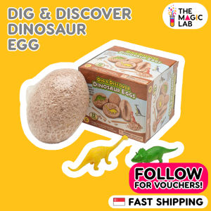 12 x Dino Egg Dig Kit - Break Open Unique Dinosaur Egg and Discover Dino Models - Archaeology Science STEM for Kids Birthday Party Gift