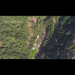 Pickleball Racket Beginner Sports Wooden Racket Outdoor Exercise Leisure Training Sports Practice Racket