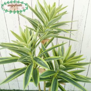 Pohon Hias Artificial Pandan Bali X3 Hijau Tepi Putih & Hijau Mini Semilatex Pot Dasar Hitam Dekorasi Aesthetic Ruang Tamu